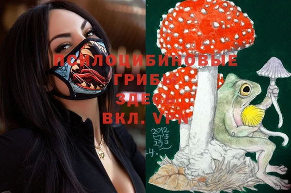 ECSTASY Алексин