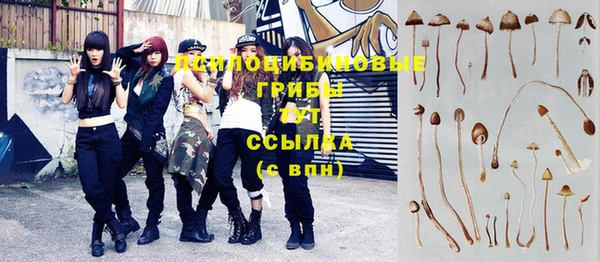 гашик Липки