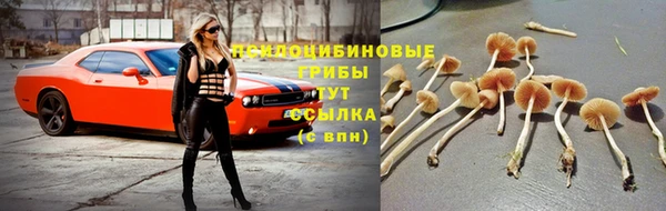СК Алексеевка