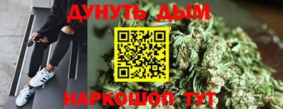 МДПВ Дубна