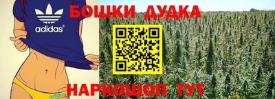 МДПВ Дубна
