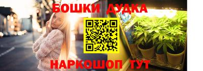 молекула духа Донской