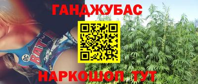 МДПВ Дубна