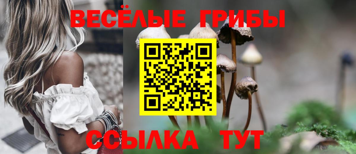 Нефтекумск  Псилоцибиновые грибы ЛСД  Вход с VPN 